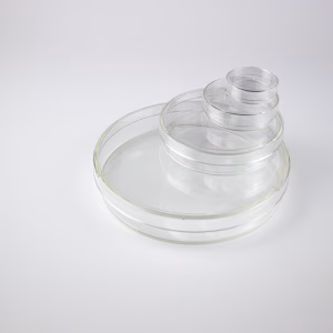 Cell Culture Dish