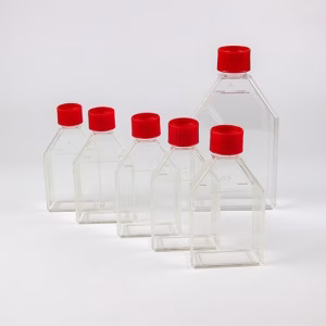 Cell Culture Flask